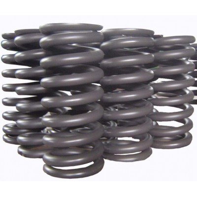 Custom-made Metal Compression Tension Spring For Industrial